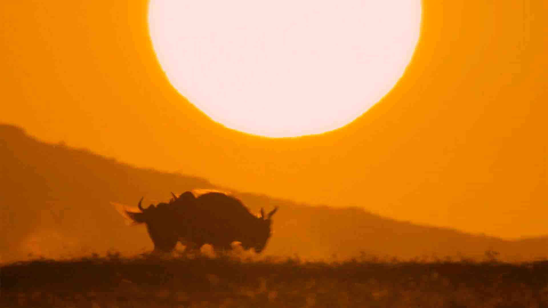 A Perfect Planet 1 19.168 Monitor HDR Brightness Test