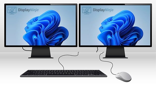 Dual Monitors